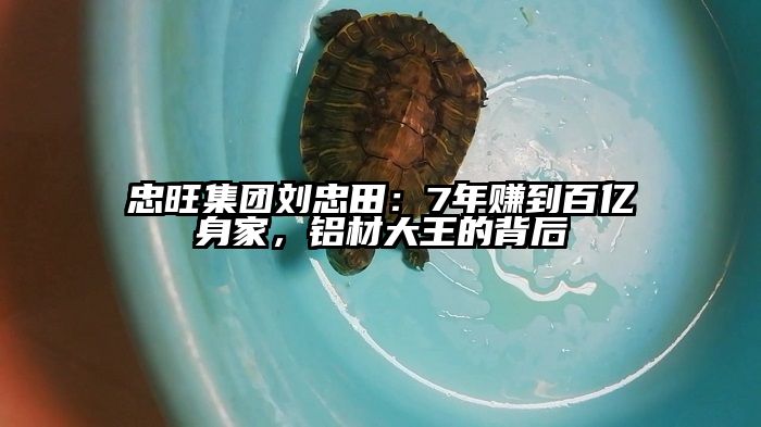 忠旺集团刘忠田：7年赚到百亿身家，铝材大王的背后