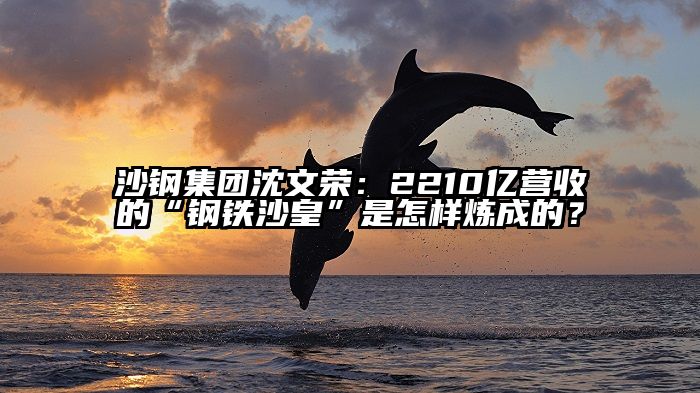 沙钢集团沈文荣：2210亿营收的“钢铁沙皇”是怎样炼成的？