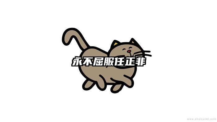 永不屈服任正非