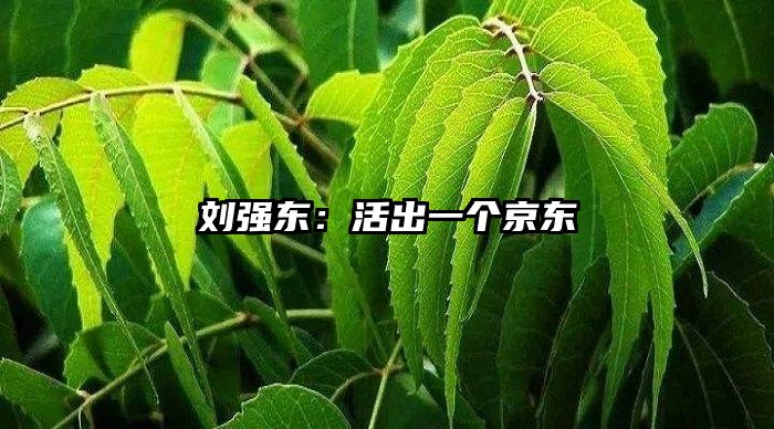 刘强东：活出一个京东