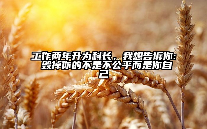 工作两年升为科长，我想告诉你: 毁掉你的不是不公平而是你自己